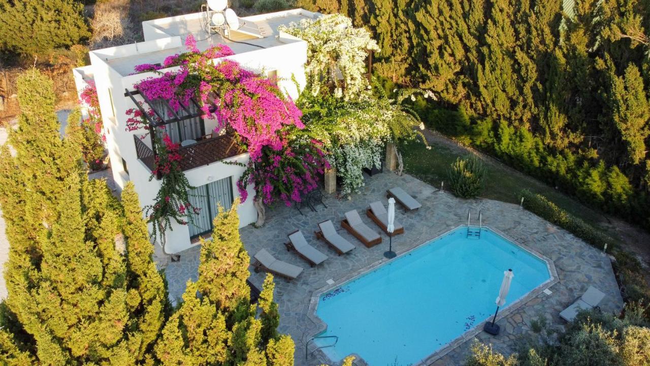 Banana Sunset Villas Пафос Экстерьер фото