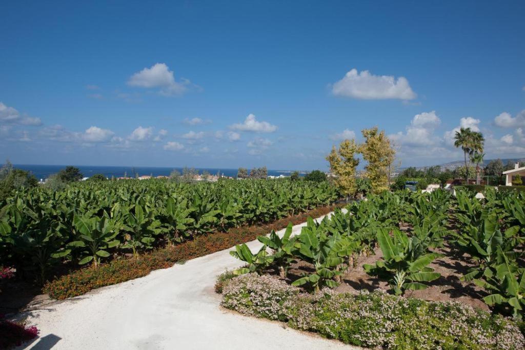 Banana Sunset Villas Пафос Экстерьер фото